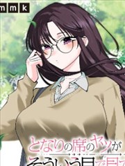 猫咪风暴